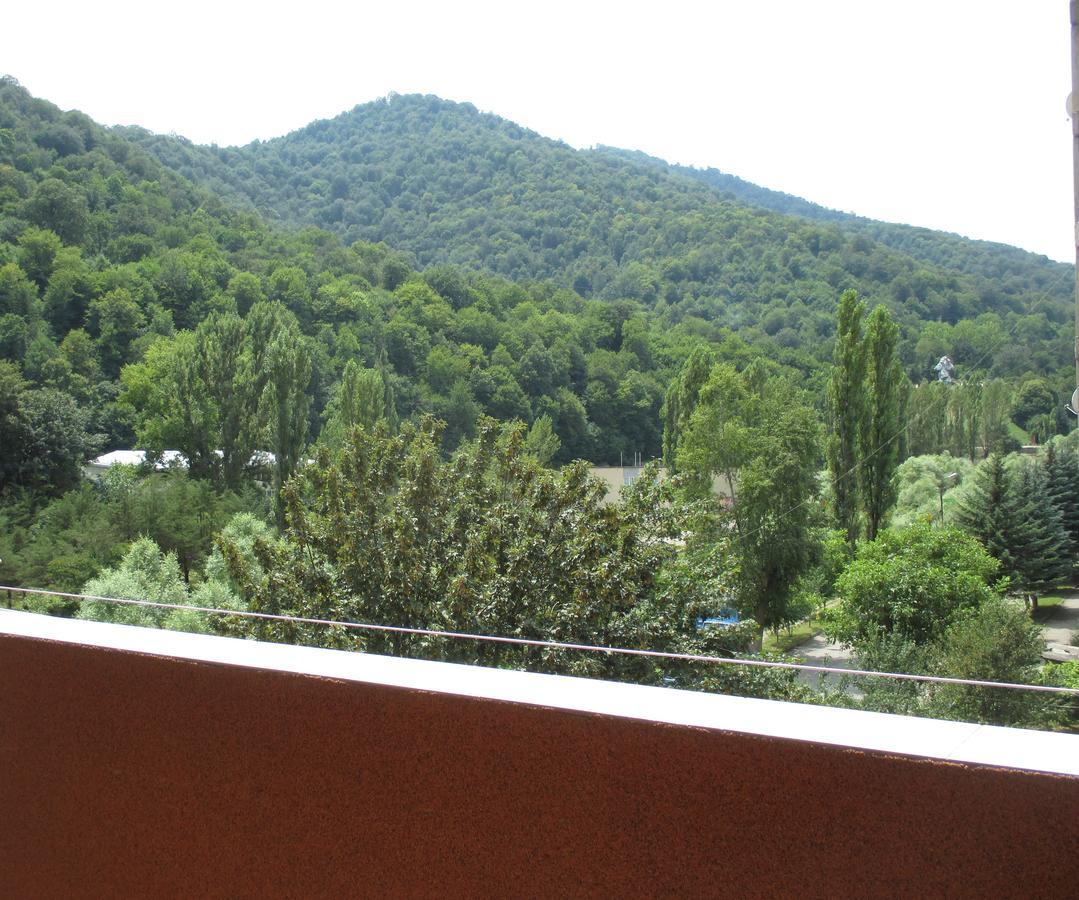 Dilijan Nice View Apartment Luaran gambar