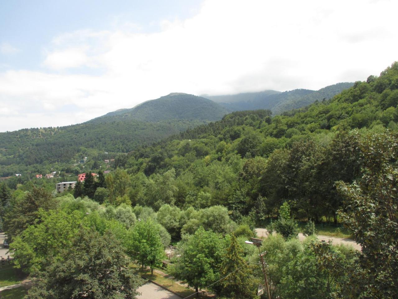 Dilijan Nice View Apartment Luaran gambar